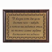 Плакетка "В жизни есть две цели" 12х17 см
