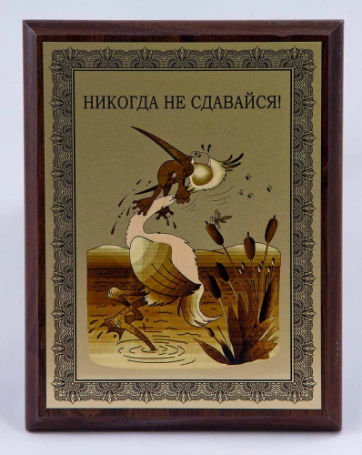 Плакетка "Никогда не сдавайся!" 18х23 см