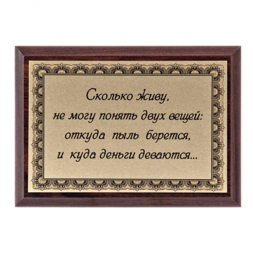 Плакетка "Сколько живу, не могу понять..." 12х17 см