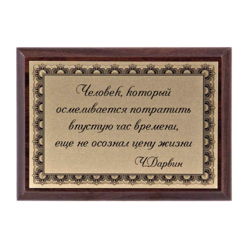 Плакетка "Человек и время" 12х17 см