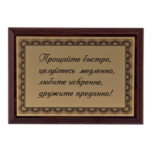 Плакетка "Прощайте быстро..." 12х17 см