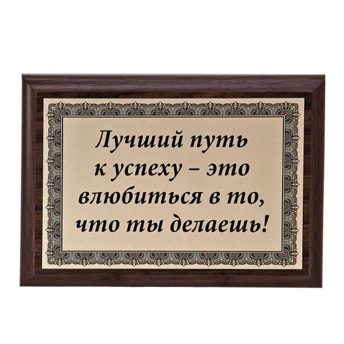 Плакетка "Лучший путь к успеху..." 12х17 см