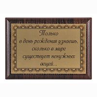 Плакетка "Только в день рождения узнаешь..." 12х17 см