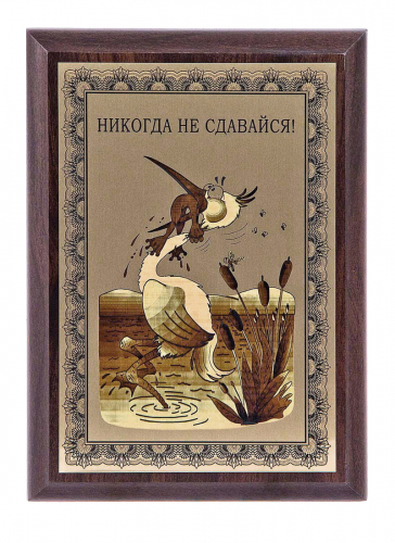 Плакетка "Никогда не сдавайся!" 12х17 см