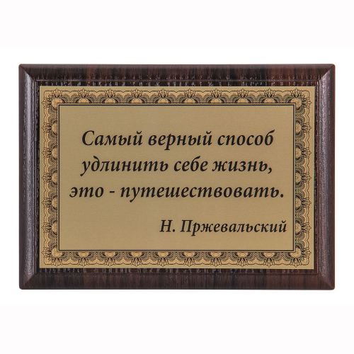 Плакетка "Самый верный способ..." 12х17 см Плакетка "Самый верный способ..." 12х17 см